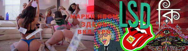 крисы Гусиноозёрск