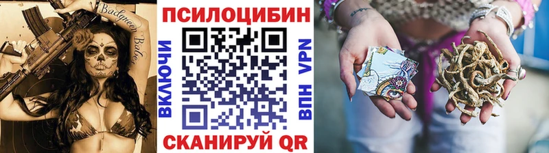 продажа наркотиков площадка клад Псилоцибиновые грибы Psilocybe Дедовск